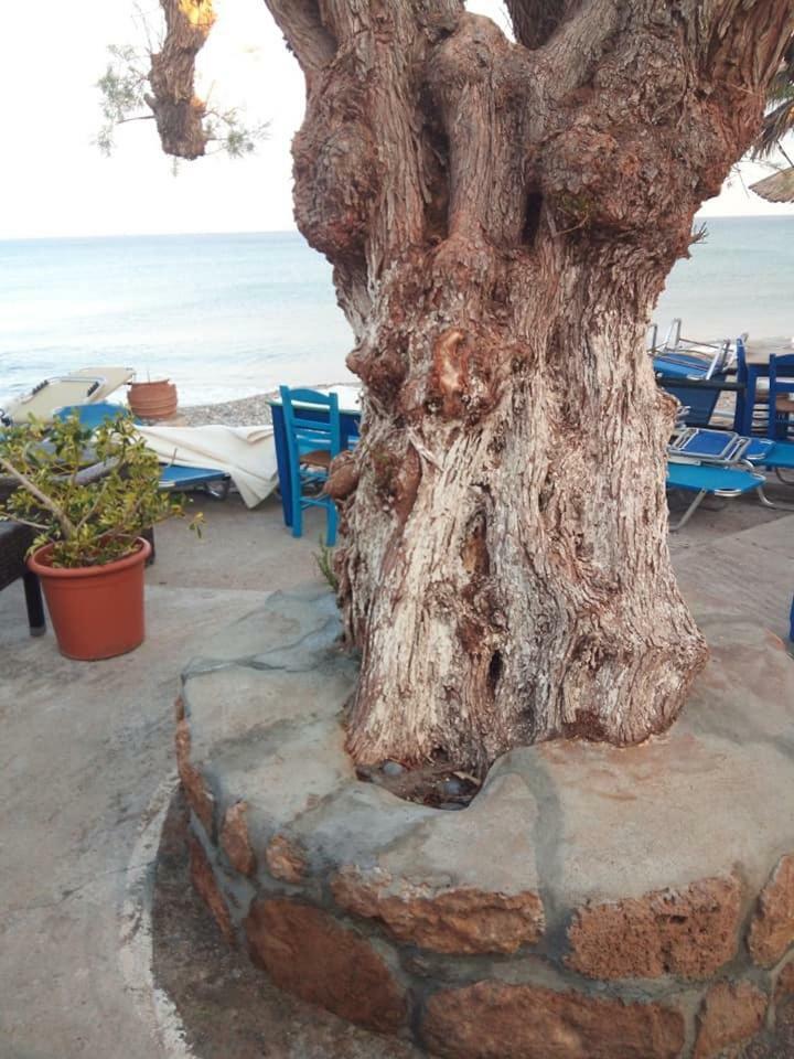 Beachfront Apartment Kato Zakros Ngoại thất bức ảnh